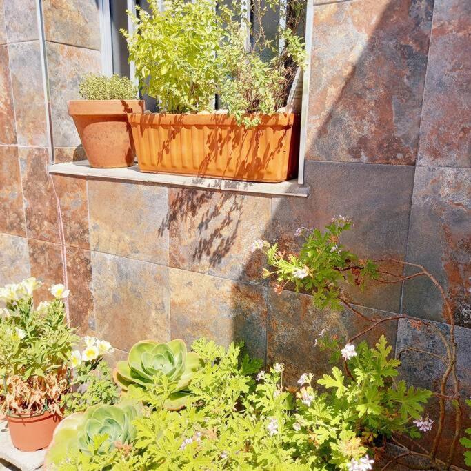 Appartamento Rias Bajas Apartamento Con Jardin Villanueva De Arosa Esterno foto